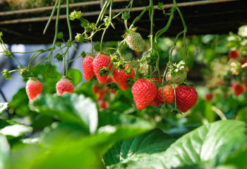 攝影(yǐng)作(zuò)品